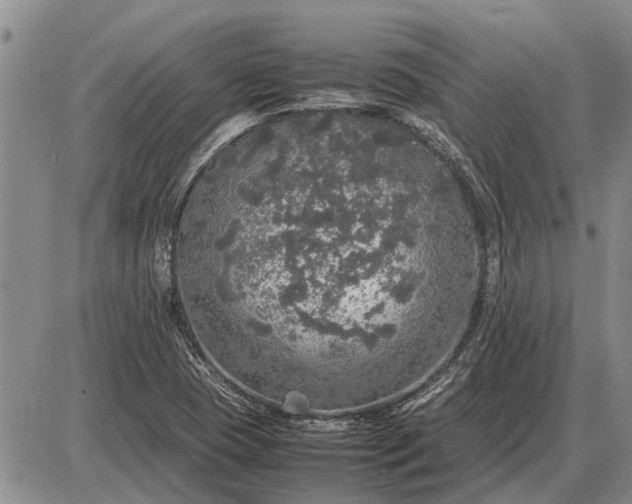 X0000085271409200703231729