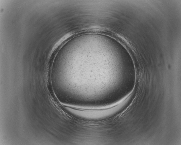 X0000085271410200703231729