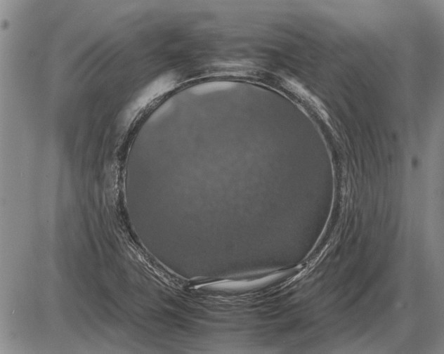 X0000085271411200703231729