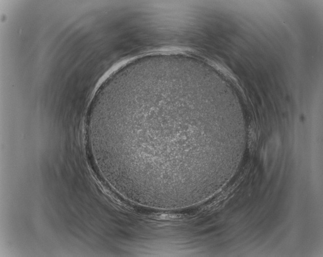 X0000085271412200703231729