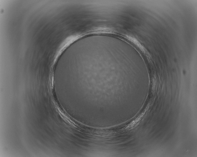 X0000085271413200703231729