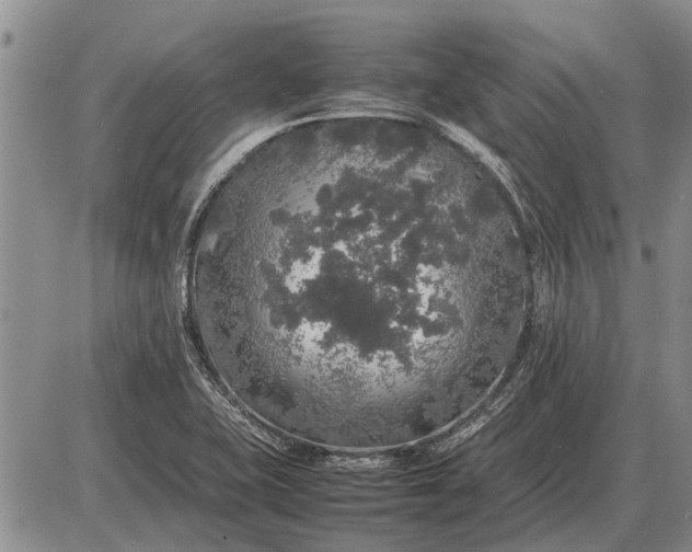 X0000085271415200703231729