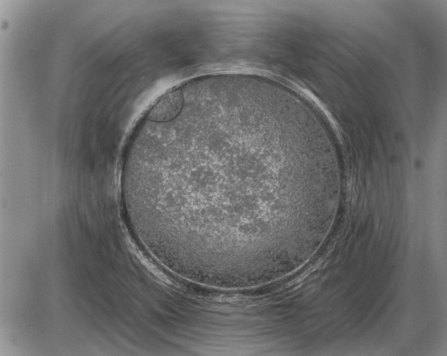 X0000085271416200703231729