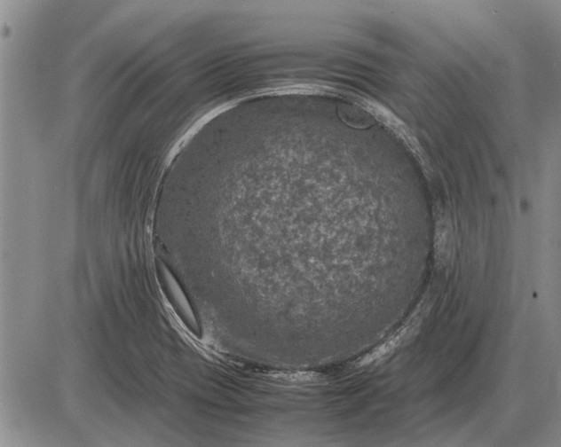 X0000085271417200703231729