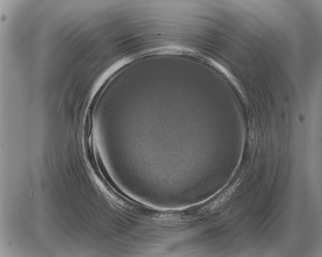 X0000085271418200703231729