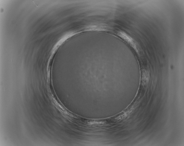 X0000085271419200703231729