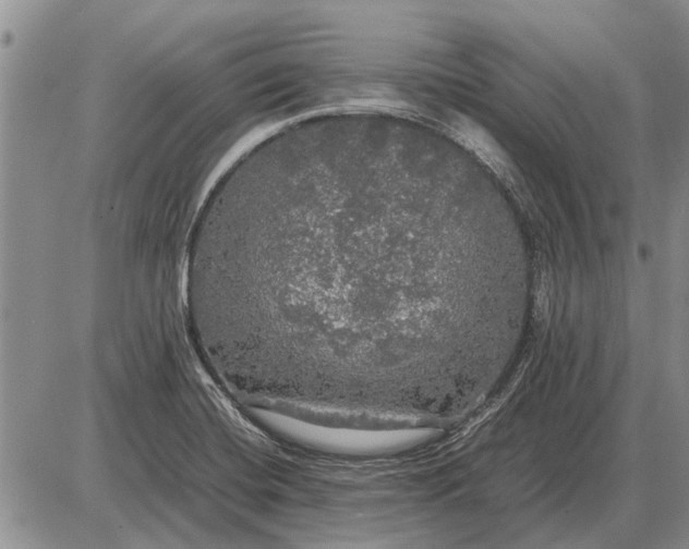 X0000085271420200703231729