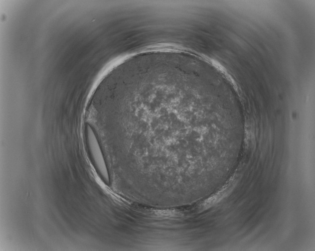 X0000085271421200703231729