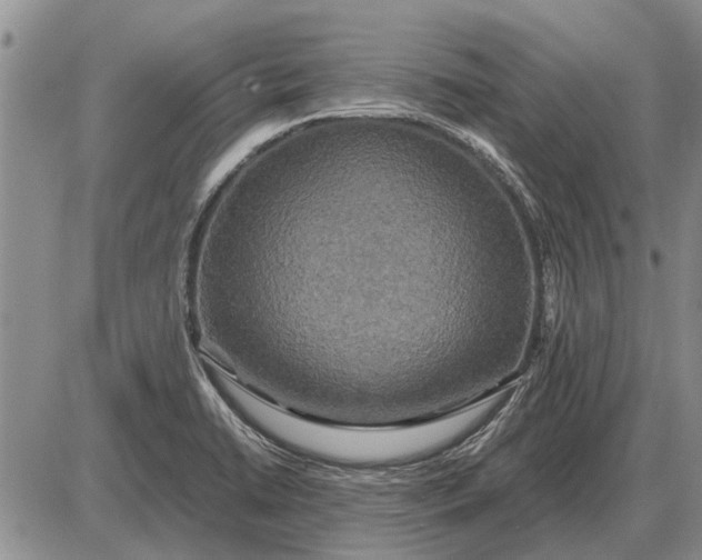 X0000085271422200703231729