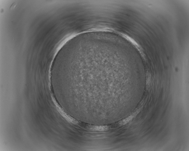 X0000085271423200703231729