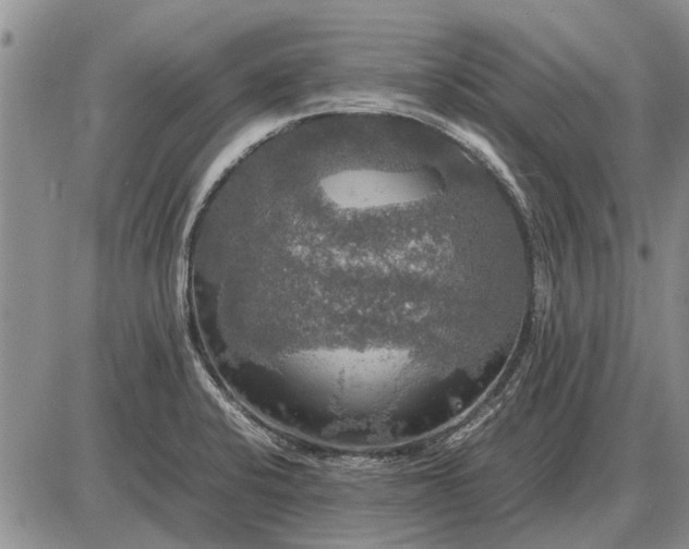 X0000085271424200703231729