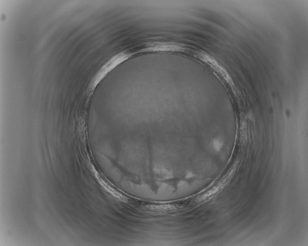 X0000085271425200703231729