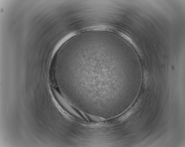 X0000085271426200703231729