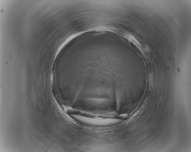 X0000085271428200703231729