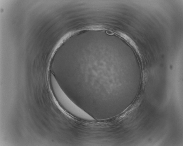 X0000085271429200703231729