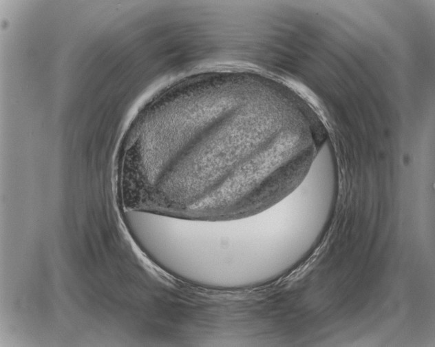 X0000085271430200703231729