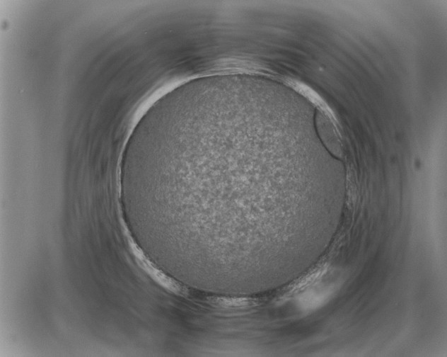 X0000085271431200703231729