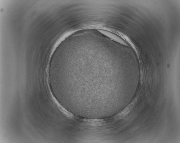 X0000085271432200703231729