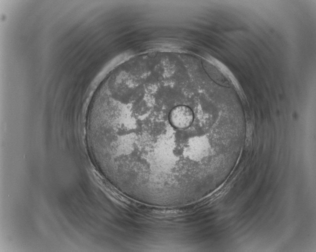 X0000085271435200703231729