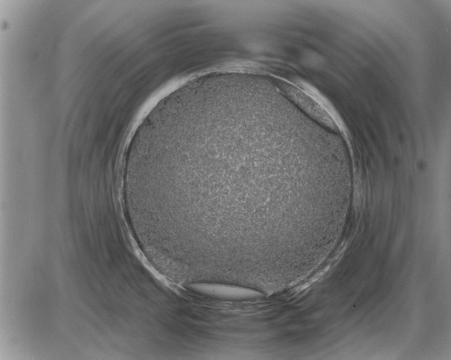 X0000085271437200703231729