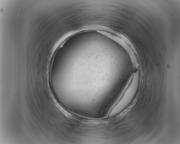 X0000085271438200703231729