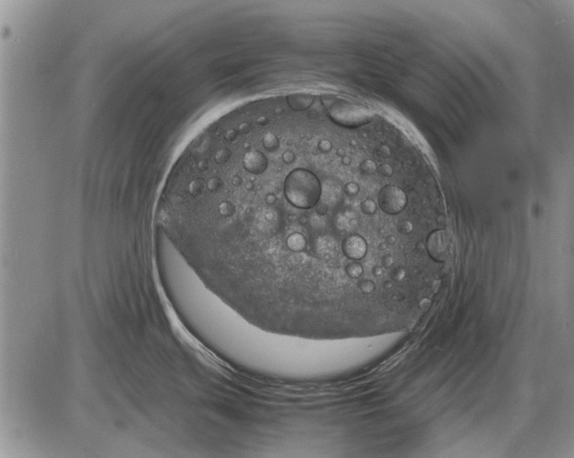 X0000085271439200703231729