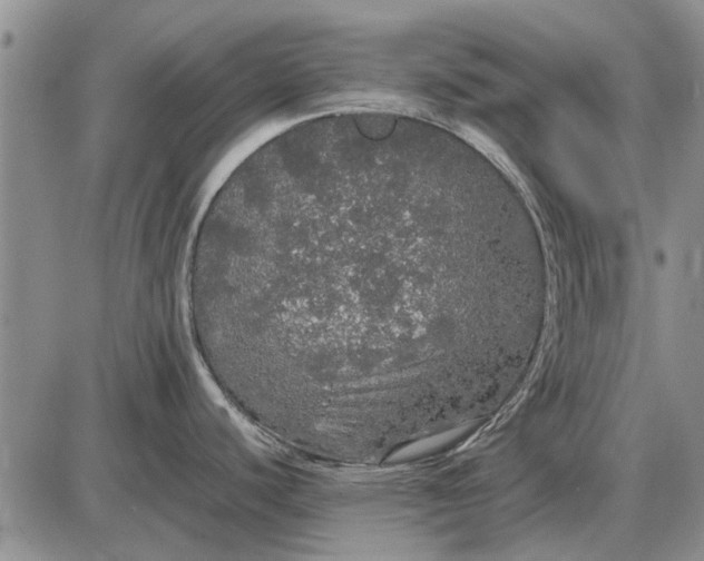 X0000085271440200703231730