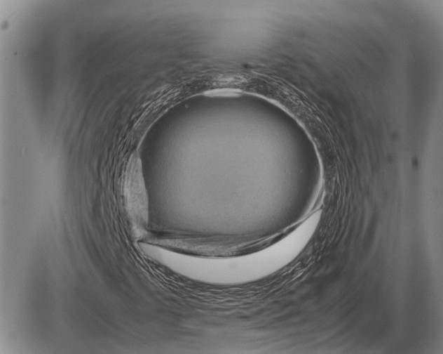 X0000085271441200703231729