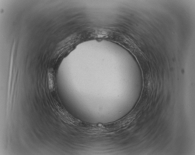 X0000085271442200703231729