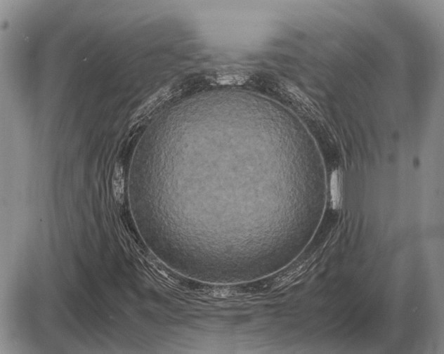 X0000085271443200703231729