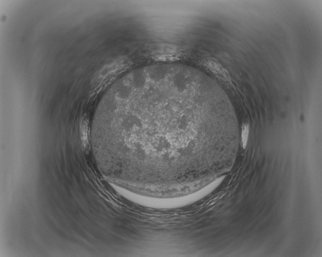 X0000085271444200703231729