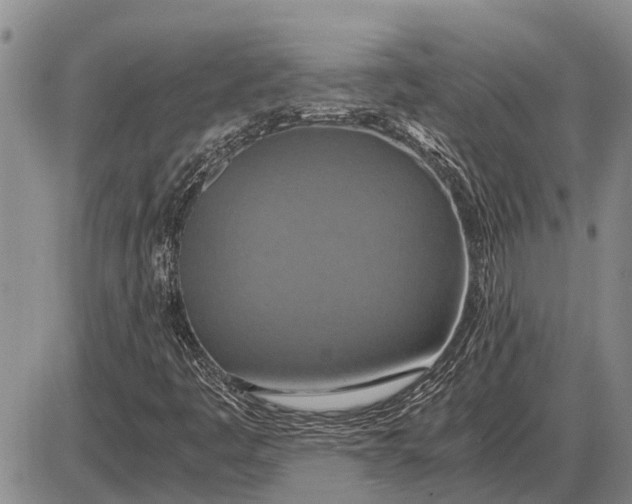 X0000085271445200703231729