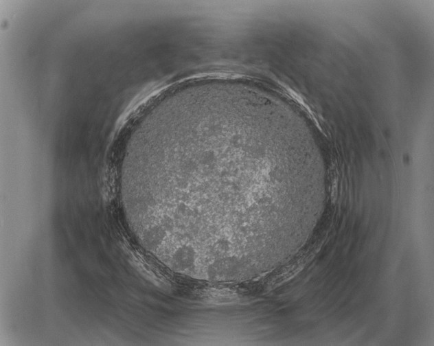 X0000085271448200703231729