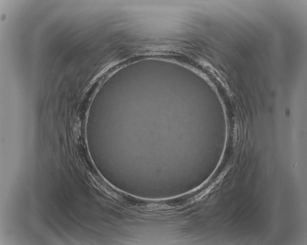 X0000085271449200703231729