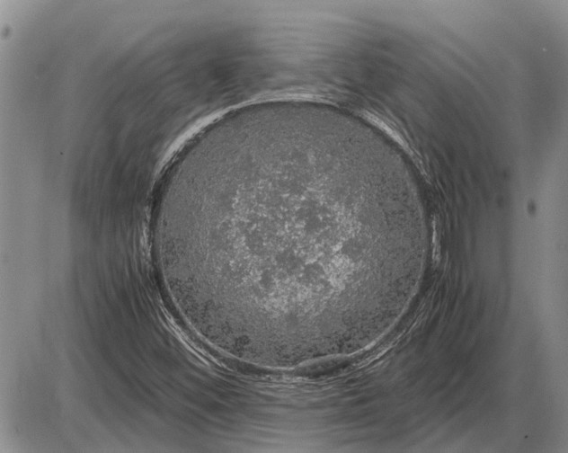 X0000085271452200703231729