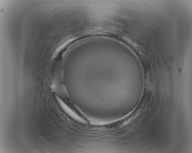 X0000085271453200703231729