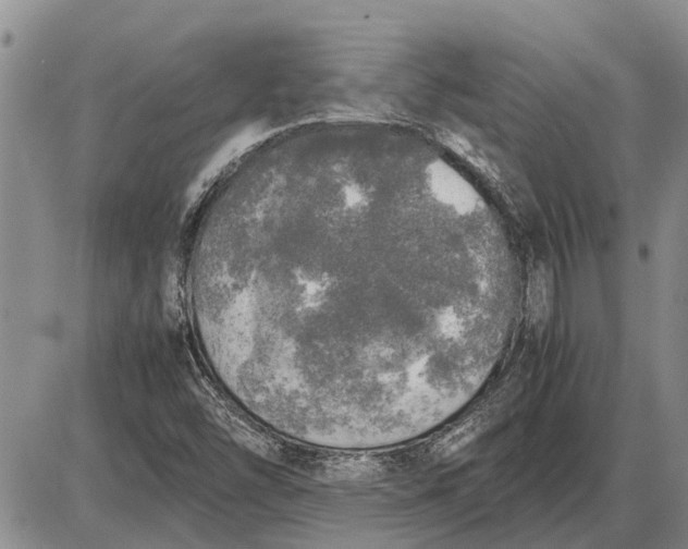 X0000085271454200703231729