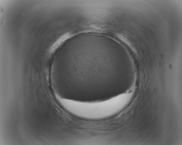 X0000085271455200703231728