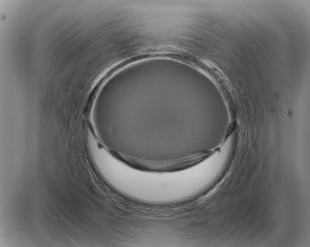 X0000085271457200703231728