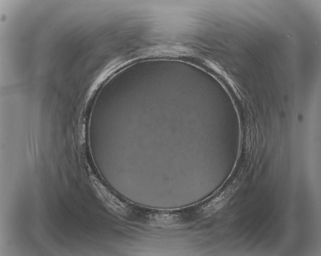 X0000085271459200703231728