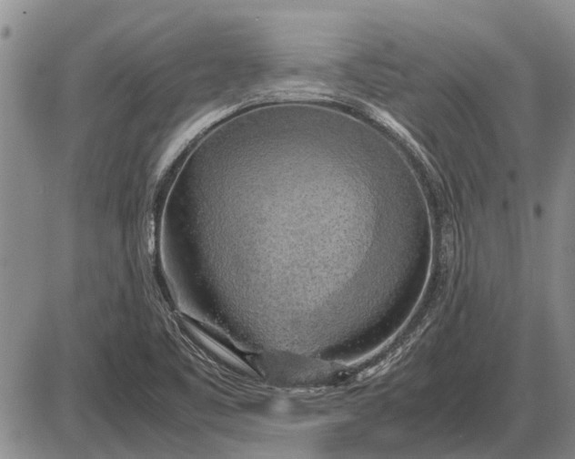 X0000085271461200703231728