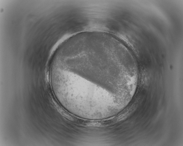 X0000085271462200703231728