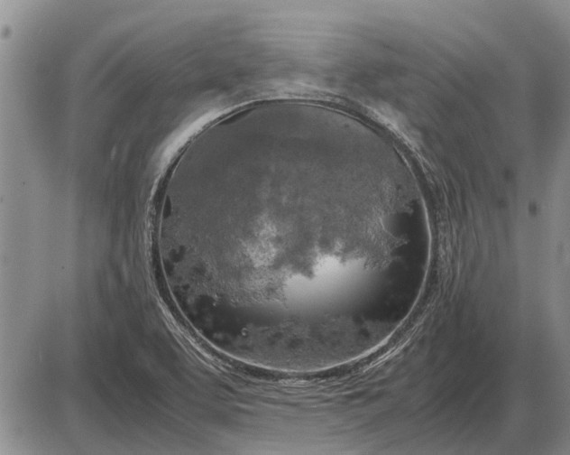 X0000085271463200703231728