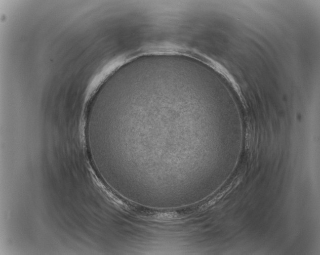 X0000085271464200703231728