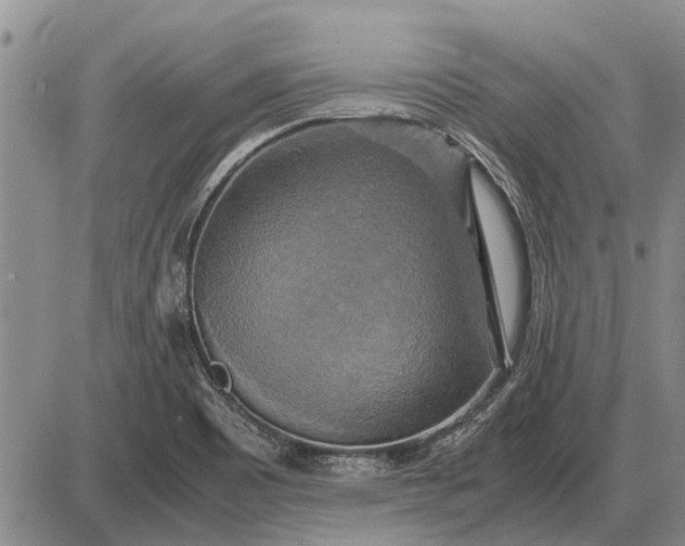 X0000085271465200703231728