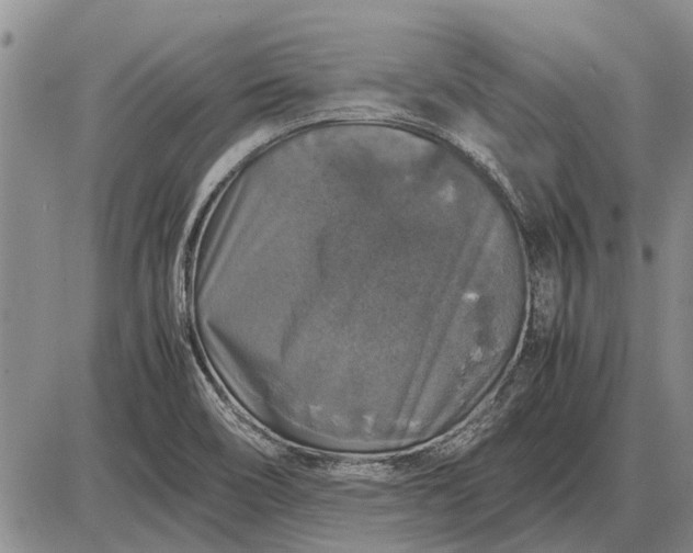 X0000085271466200703231728