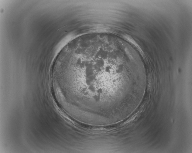 X0000085271467200703231728