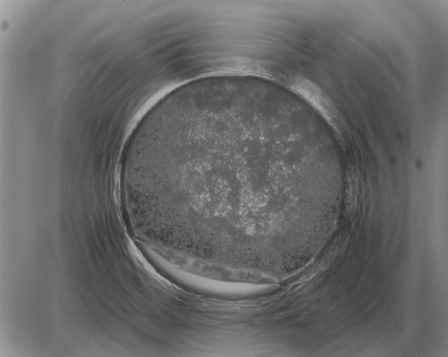 X0000085271468200703231728