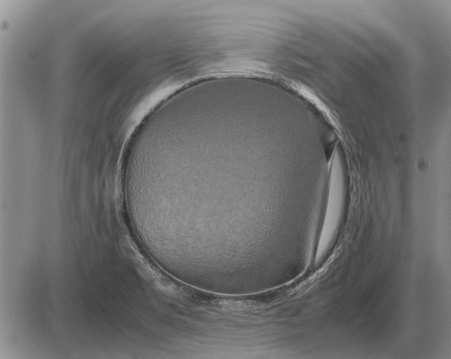 X0000085271469200703231728