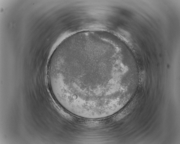 X0000085271470200703231728